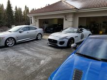 Our Jaguar's