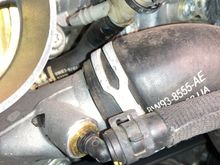 Coolant damp recovery hose at the engine end.