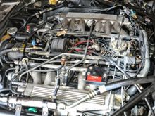 Engine bay will change fuel, coolant hoses, drain the fuel tank, charge the battery get her running then the rest of a long list of item