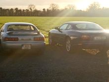 Together at last... they keep me busy