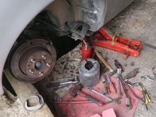 rear bushes