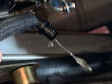 The old fluid that was spit out 