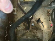 Day 2: Finally, the poorly designed and placed coolant hose. Evidence of leakage is clear.