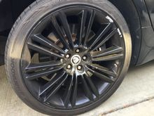RR