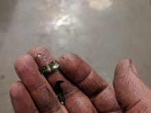 This was in the oil pickup pipe filter.