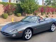 Lovely great body perfect top