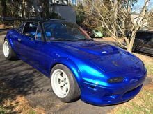 2015 project the Red to Blue Bomber