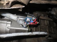 Blue ring shows the connector area gunked up. Under this gunk there is a small self-tapper where the red dot is placed, which locks the Lucar connectors together, thus avoiding the push-on connector shaking loose.