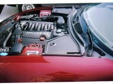Jaguar 004