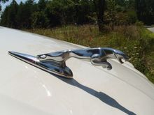 Another of my favorite features, especially when viewed from inside the car!