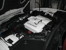 White Supercharger Coolers