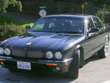 XJR basking in the sun