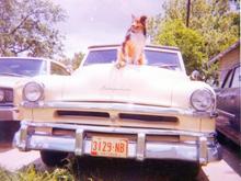 1951 Chrysler Windsor Deluxe Convertible May 1974 Owner Betty Kosmos