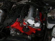 IMG 0492