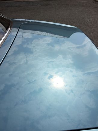 Great job Ian !! Thanks