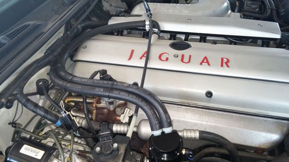 The finished catch can project