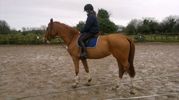 Rosie with Happiness van der Wellington on her arrival in 2013