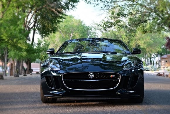 Desert Dawg's 2014 Jagaur F-Type V8S, British Racing Green with Brogue Leather Interior.