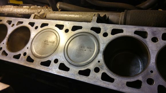 "After" shot of the piston tops, after a few cycles around to get as much grease and grime out as possible.
