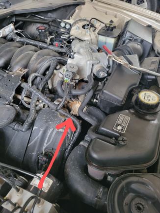 engine cover off