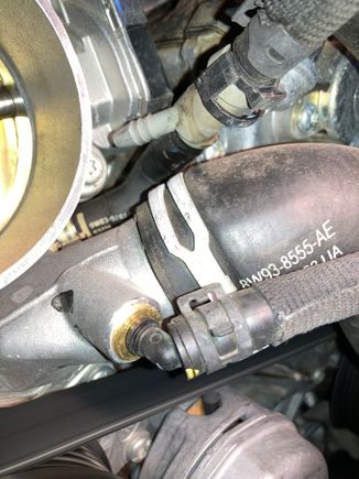 Coolant damp recovery hose at the engine end.