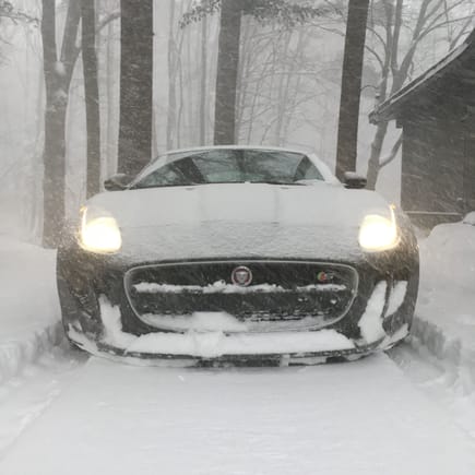 Does this answer your question?  Life is short and there is too much pleasure in driving the F-Type in every and all seasons! 