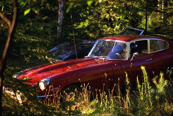 Etta the E-Type on the point 1970s