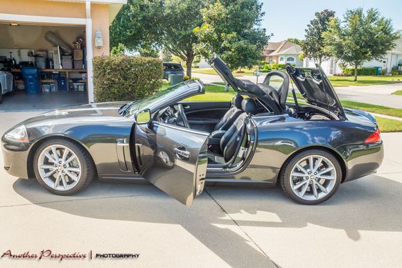 She’s not new, but she’s new to me. 