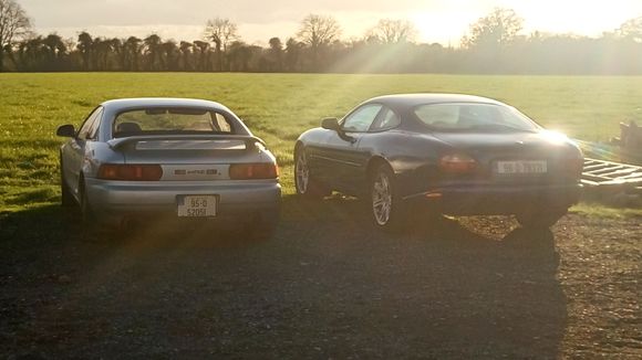 Together at last... they keep me busy