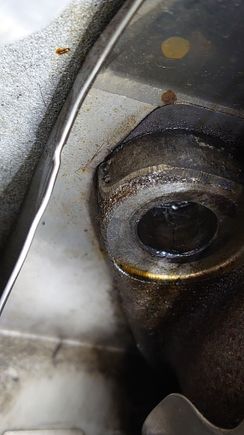 Close up view. Exhaust manifolds are nicely shielded from heat and oil drips.