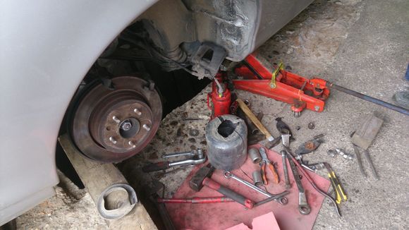 rear bushes