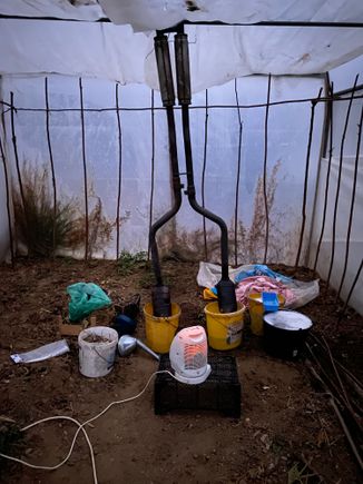 Cats cleaning - successful. Should've seen the datk green water that went straight to the waste truck