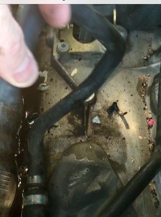 Day 2: Finally, the poorly designed and placed coolant hose. Evidence of leakage is clear.