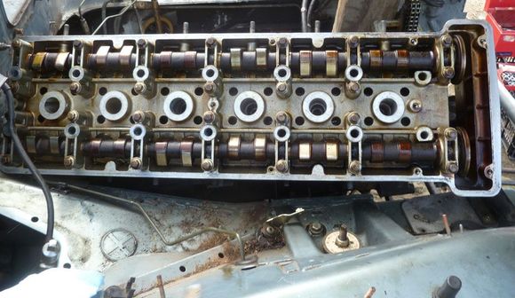 head ready to be lifted out of car