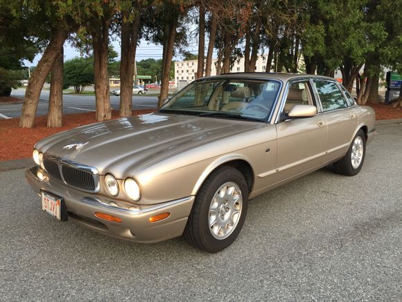 LeLimoMan's new (old) Kitty