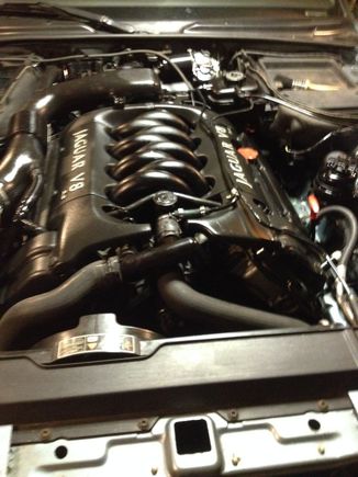 Gave the engine a much neede clean