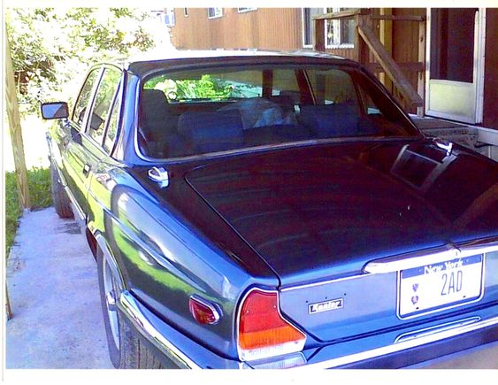 Another view of my barn find.