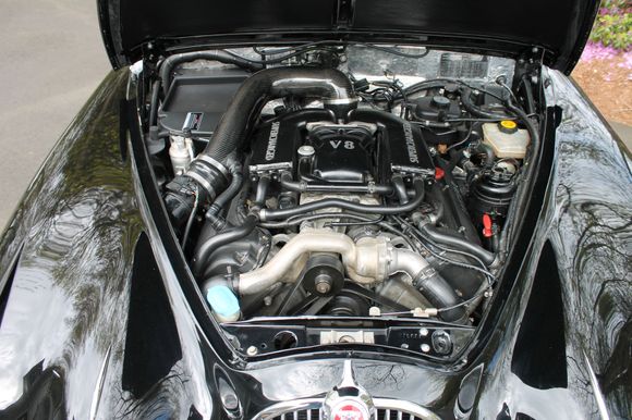 The Beast