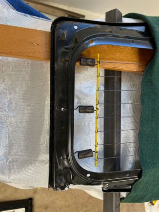 Before and after cut.