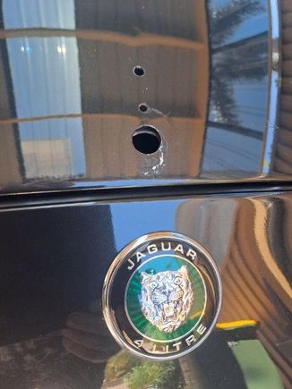 The result of removal of the Leaper, 3 holes and damage to the paintwork  and a slight indent from someone who fancied the THING.
Next is bonnet off and to the repairer. :) 