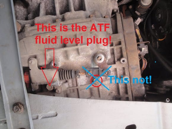This is the fluid level plug! I have opened the correct one already a few times on 2 different X-Type, and also, you can confirm this on the X-Type workshop manual on page 1442.