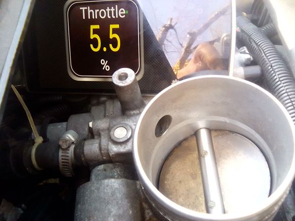 Original Zero throttle position reading cold on this engine.  Jot down what the position is on your engine and if this reading is higher after adjustment, then the cable is too tight.