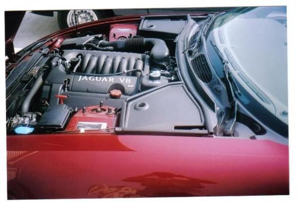 Jaguar 004