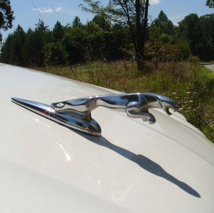 Another of my favorite features, especially when viewed from inside the car!