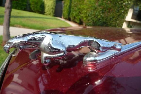 Leaper close up