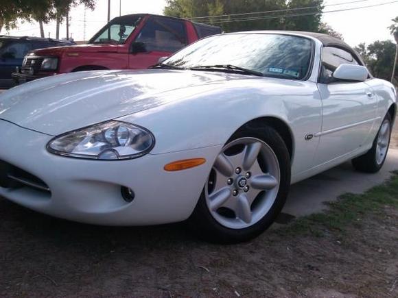 Front view.