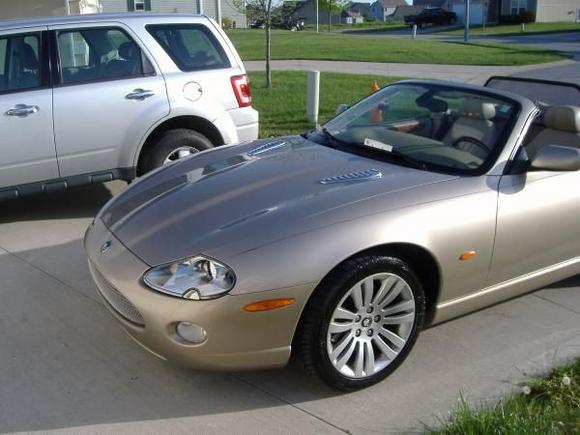 Jaguar 30
