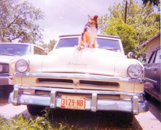 1951 Chrysler Windsor Deluxe Convertible May 1974 Owner Betty Kosmos
