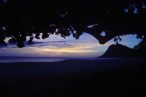Under the tree at sunset