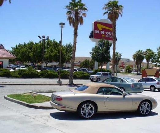 The biggest In-n-Out, Barstow, CA. Please open one in VA!